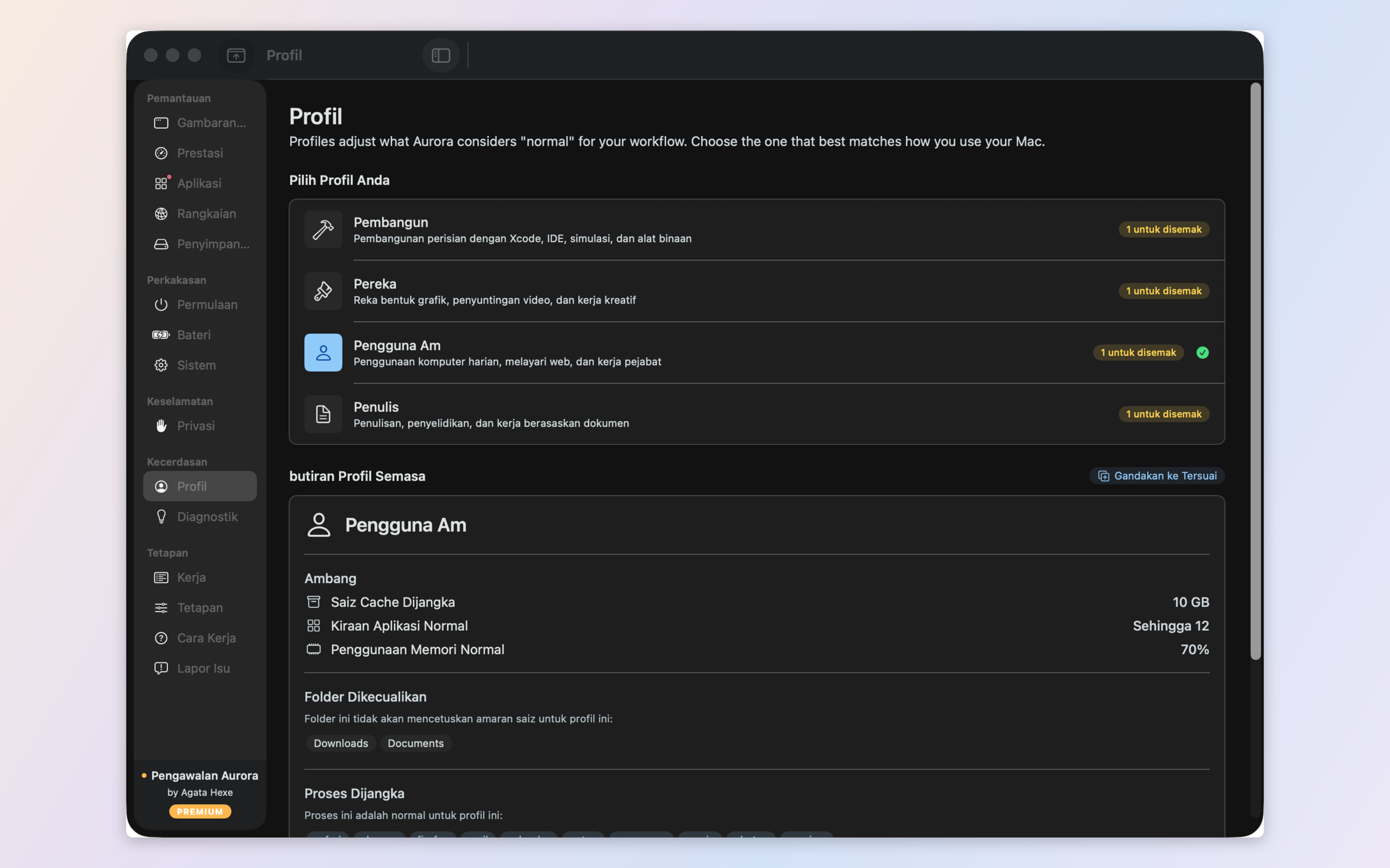 Profiles — Developer, Designer, Writer, General and custom presets that redefine what 'normal' means for your Mac